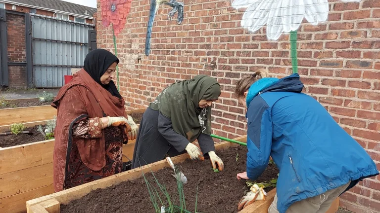 Community members tending raised garden beds