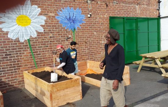 Cultivating Connections_ Our Experience