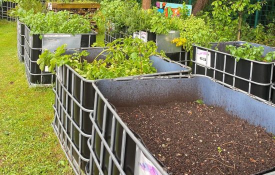 Greening Our Cities_ The Impact of Urban Gardening