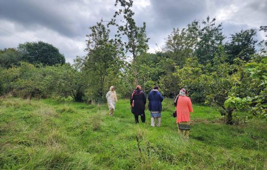 Nurturing Nature, Nurturing Community